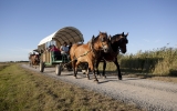 activites_touristiques_caleche_marais_aout2010-1935